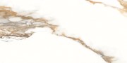 DEKRO GOLD 2